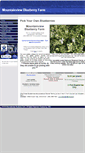 Mobile Screenshot of mountainviewblueberryfarm.com